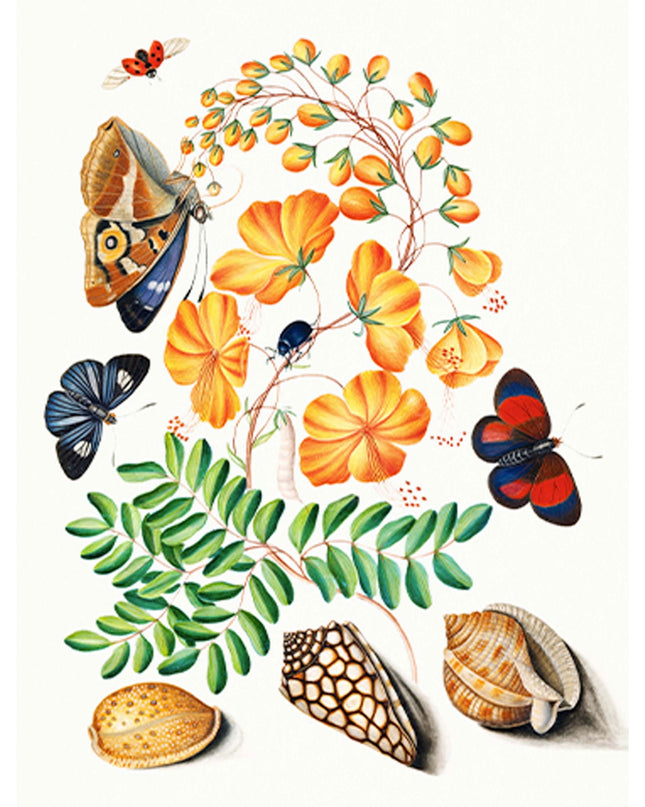 Flowers and Butterflies Poster