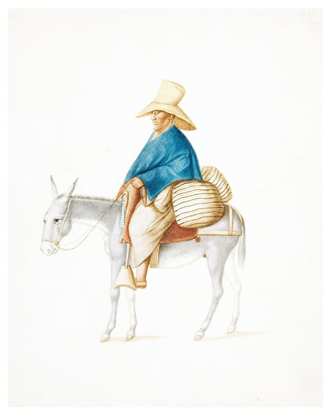 Francisco Fierro - Man on Mule Loaded Saddlebacks Poster