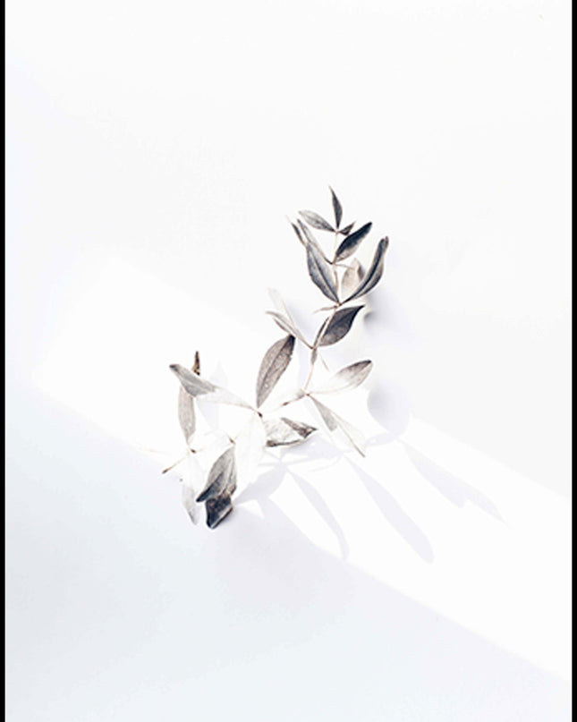 Fresh Linen Poster