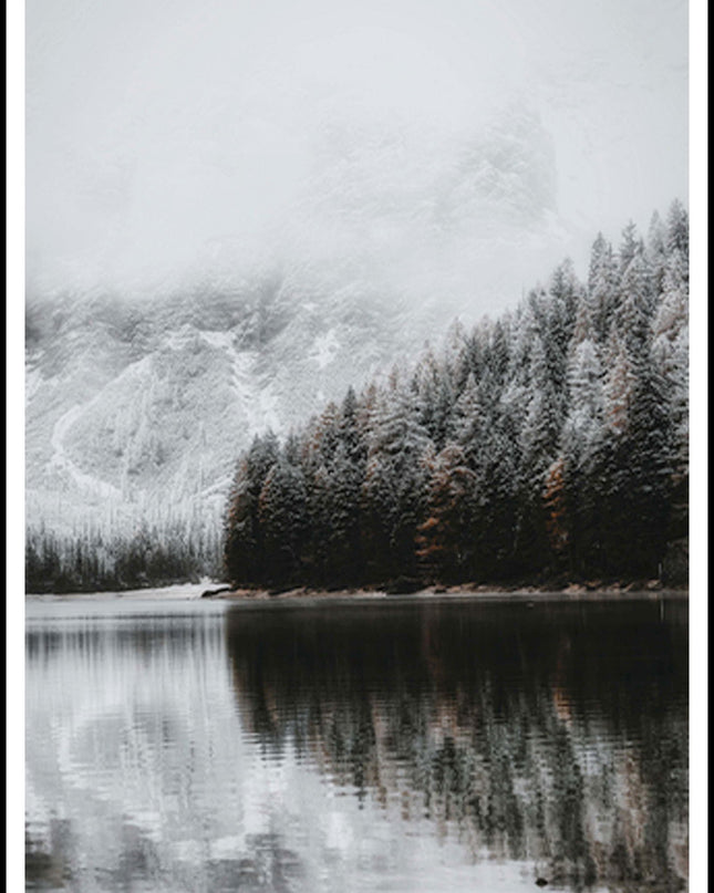 Frozen Trees Poster