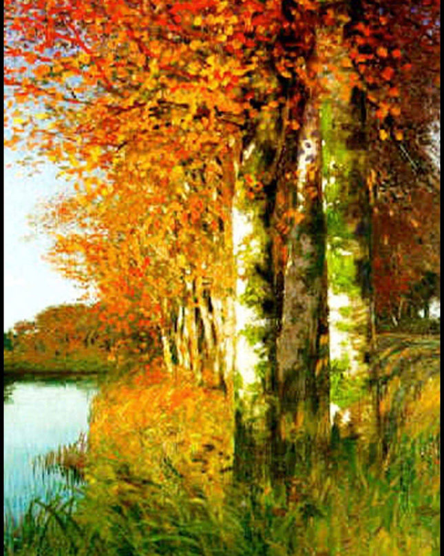Hans Am Ende - Birches at the Moorgraben