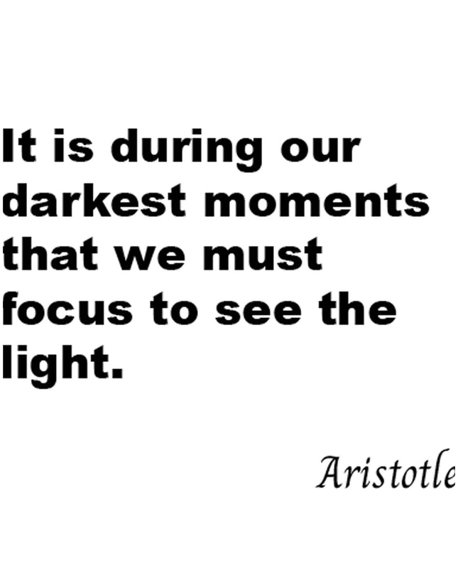 It Is During Our Darkest Moments That We Must Focus To See The Light Poster