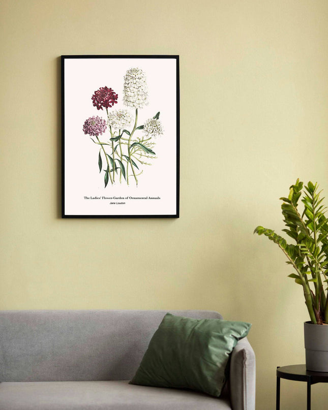 Jane Loudon - The Ladies' Flower-Garden of Ornamental Annuals No3 Poster