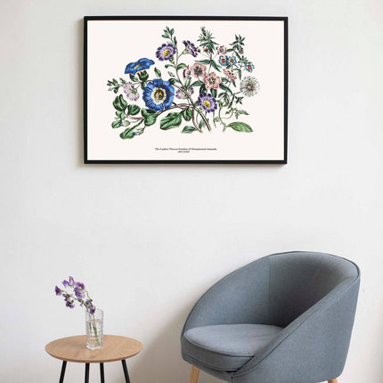 Jane Loudon - The Ladies' Flower-Garden of Ornamental Annuals Poster No2
