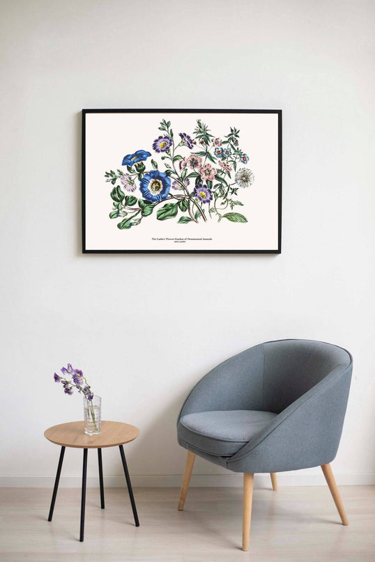 Jane Loudon - The Ladies' Flower-Garden of Ornamental Annuals Poster No2