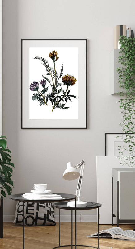 Jane Loudon - Three British Wild Flowers