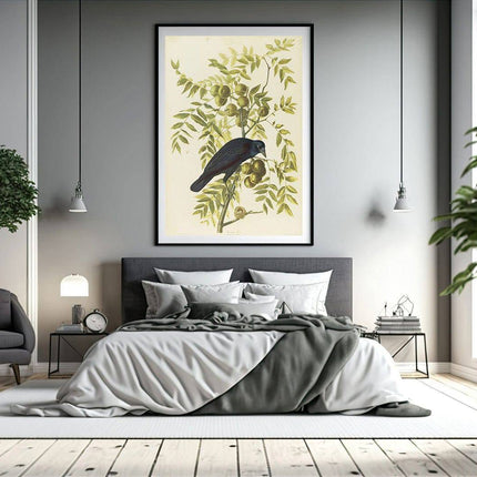 John James Audubon - American Crow