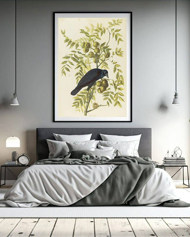 John James Audubon - American Crow
