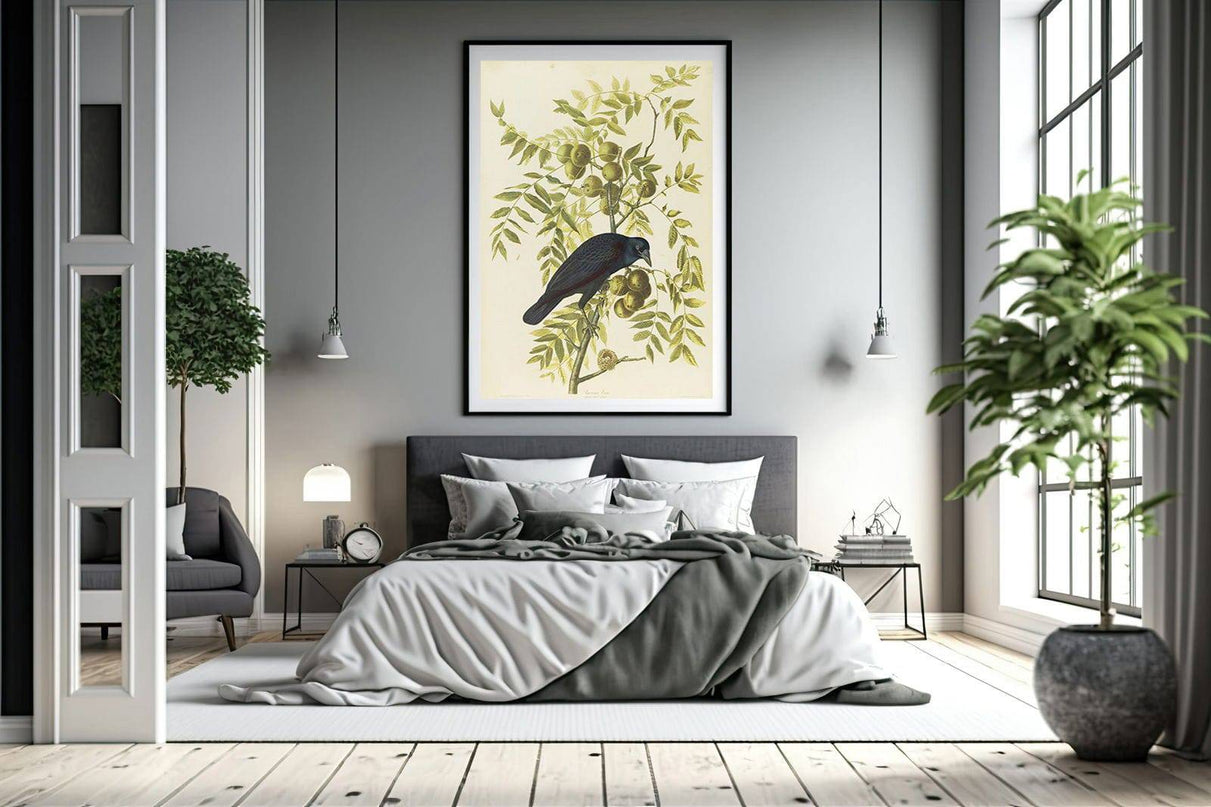 John James Audubon - American Crow
