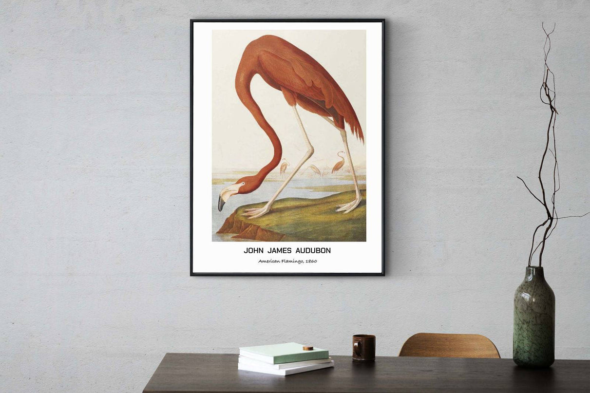 John James Audubon - American Flamingo Poster