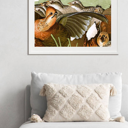 John James Audubon - Birds of America