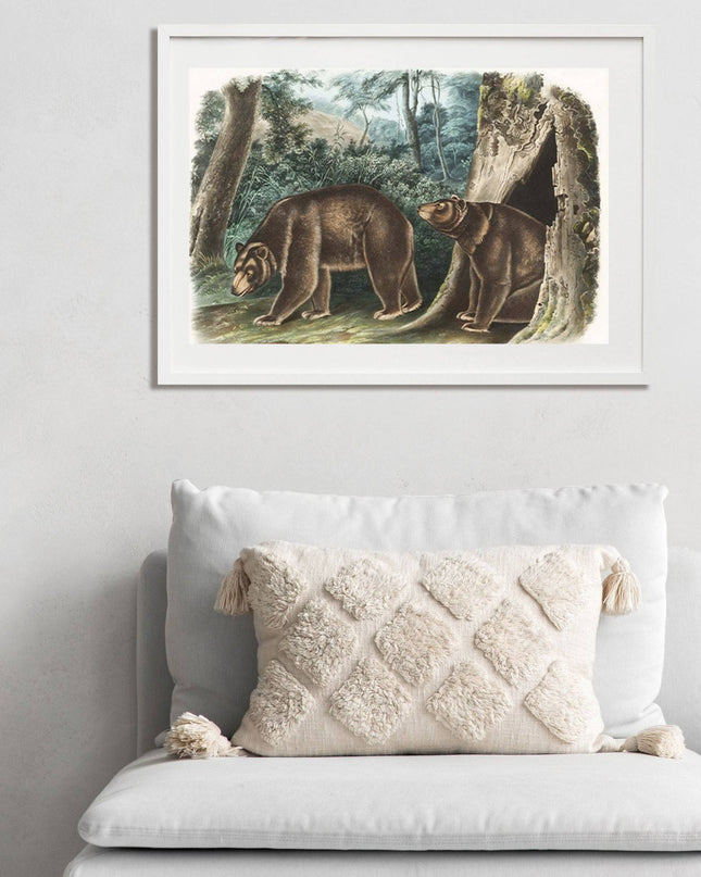 John James Audubon - Cinnamon Bear
