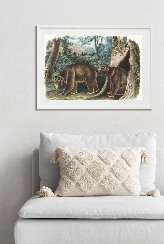 John James Audubon - Cinnamon Bear