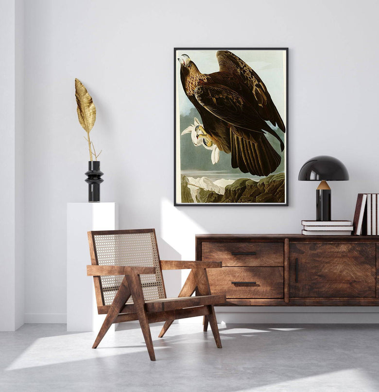 John James Audubon - Golden Eagle