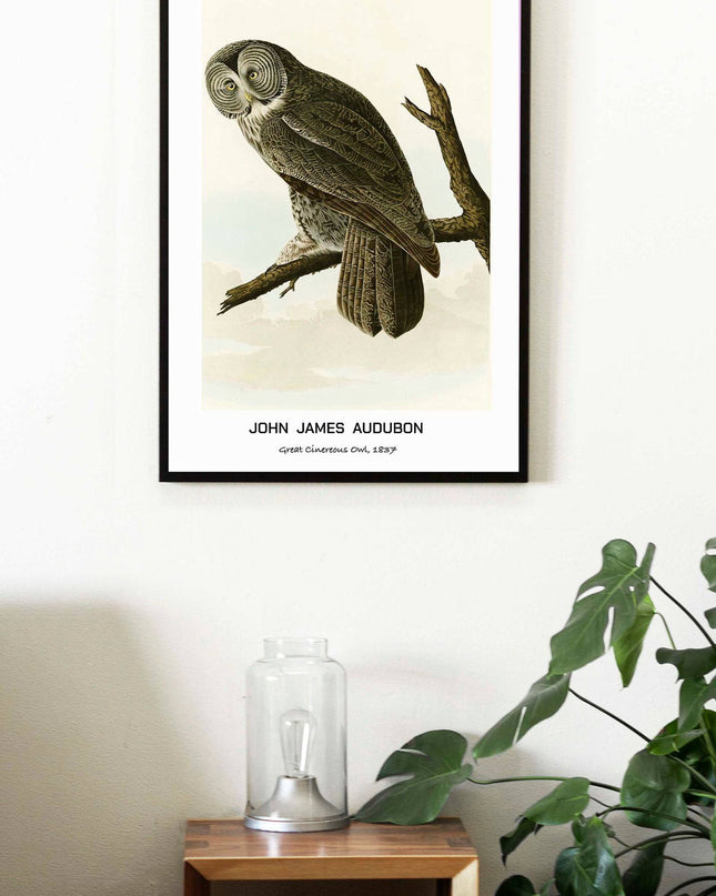 John James Audubon - Great Cinereous Owl Poster
