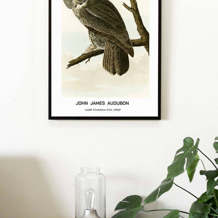 John James Audubon - Great Cinereous Owl Poster