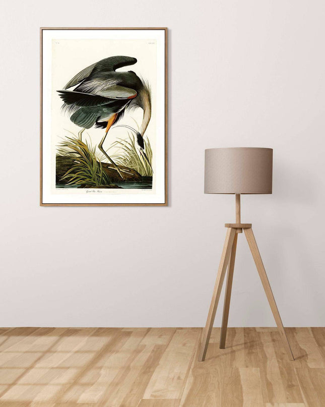 John James Audubon - Great blue Heron Poster