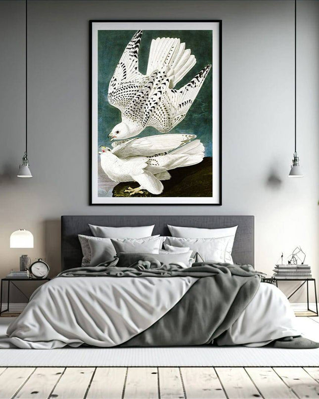 John James Audubon - Gyrfalcon