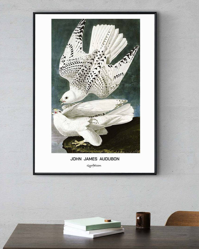 John James Audubon - Gyrfalcon Poster