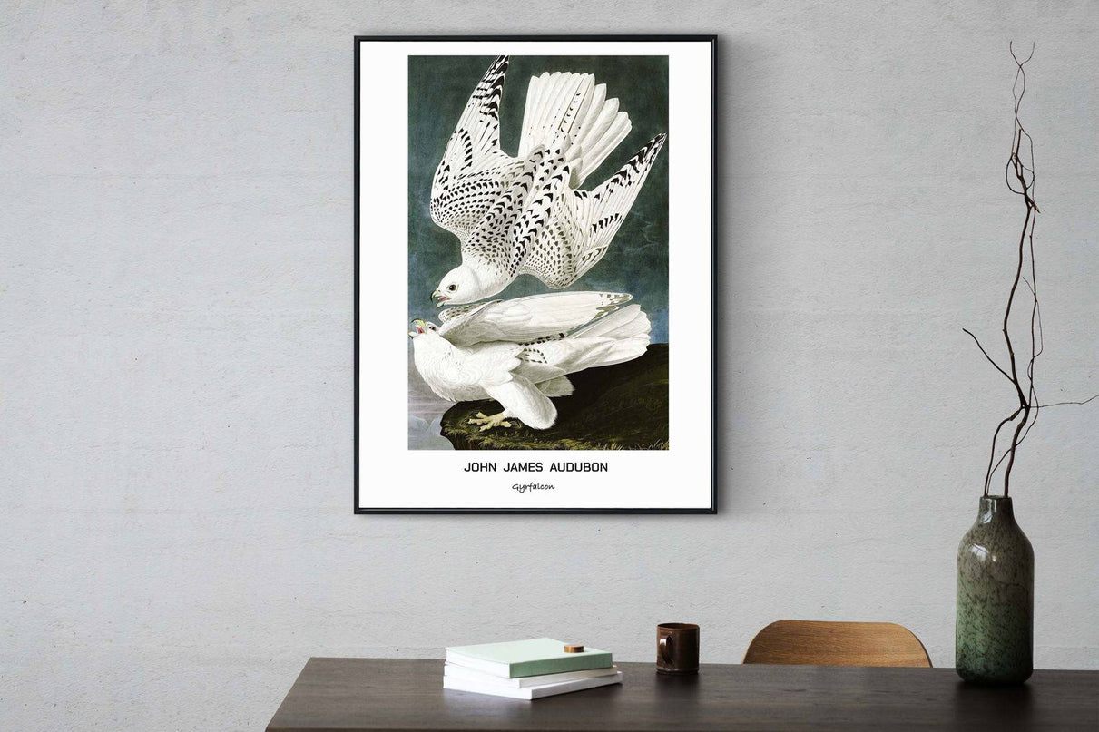 John James Audubon - Gyrfalcon Poster
