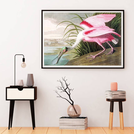 John James Audubon - Large Audubon Spoonbill