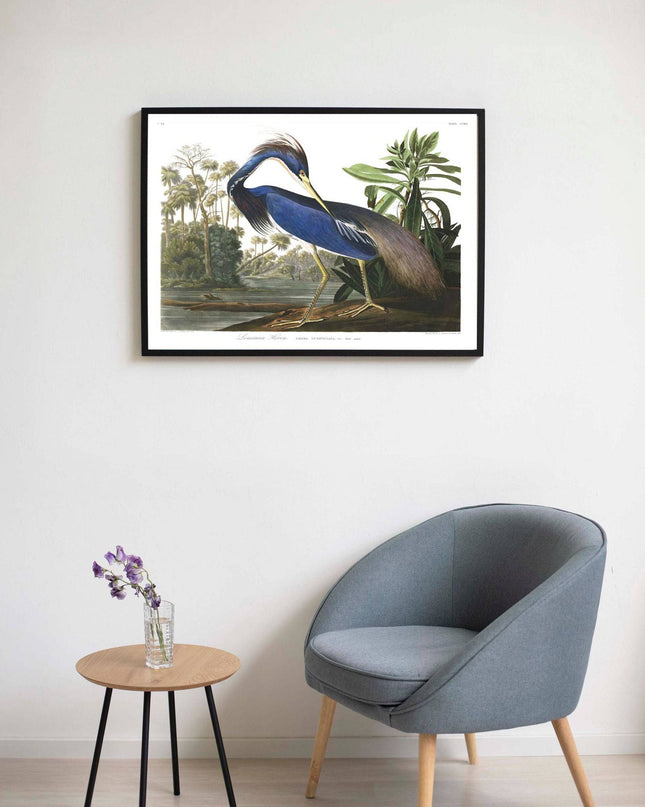 John James Audubon - Louisiana Heron Poster