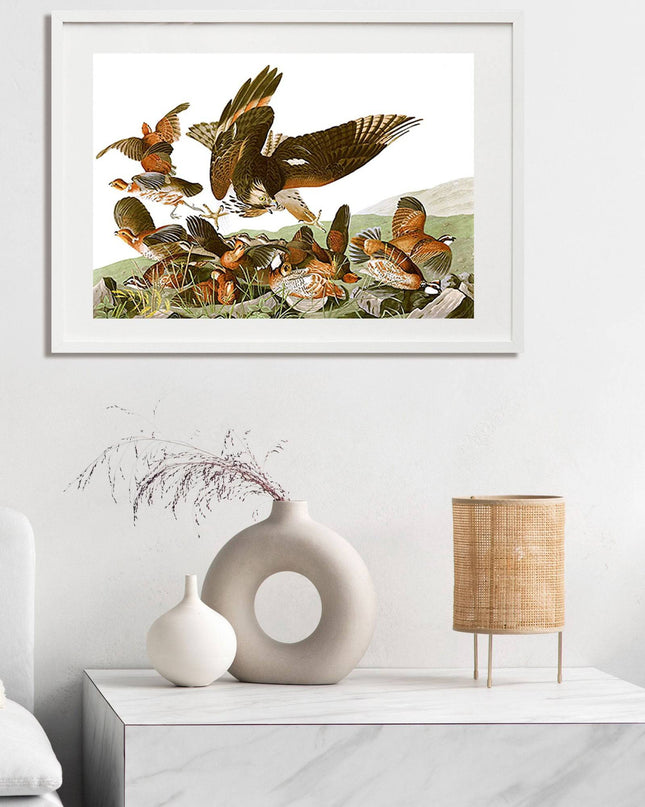 John James Audubon - Plate 76 - Birds of America