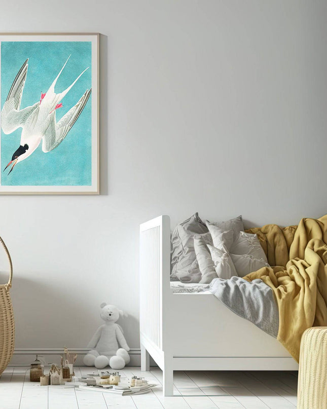 John James Audubon - Roseate Tern