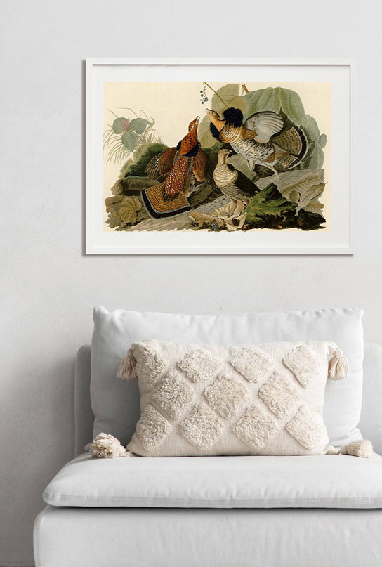 John James Audubon - Ruffed Grouse
