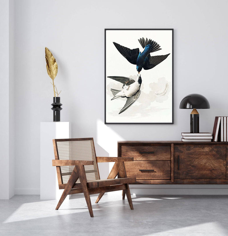 John James Audubon - White-bellied Swallow from Birds of America