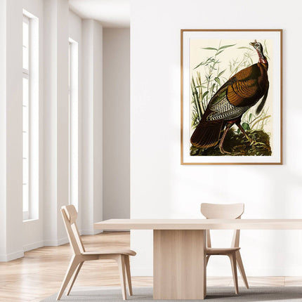 John James Audubon - Wild Turkey