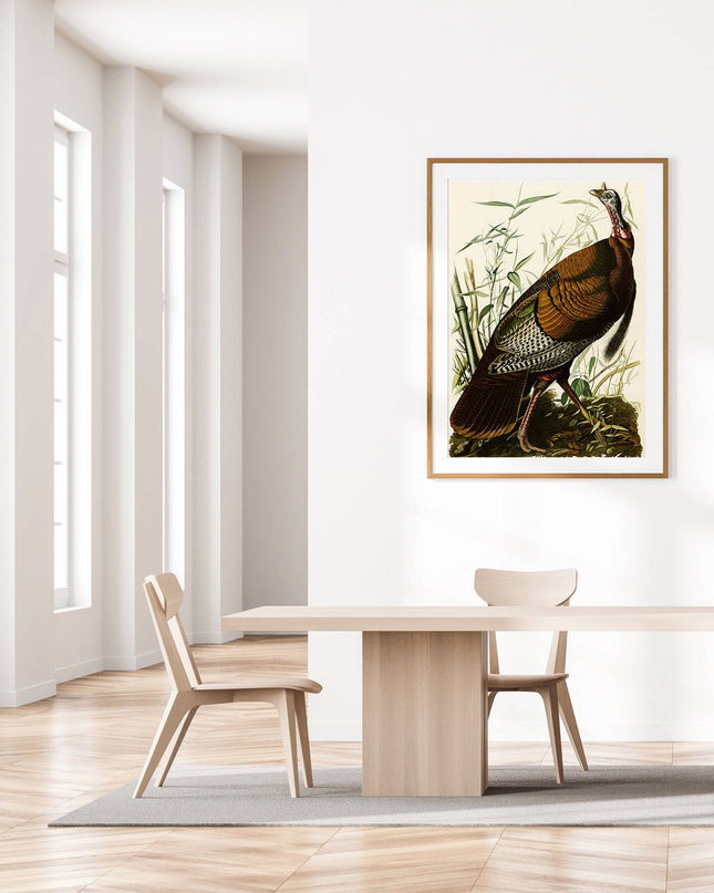 John James Audubon - Wild Turkey