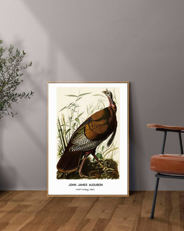 John James Audubon - Wild Turkey Poster