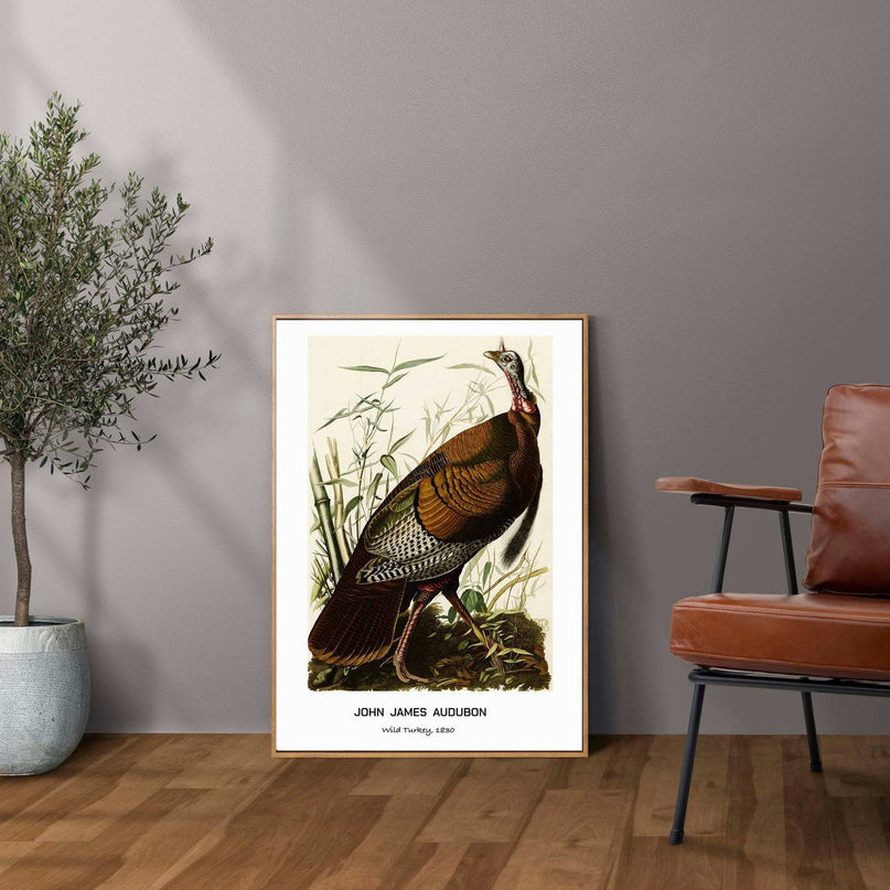 John James Audubon - Wild Turkey Poster