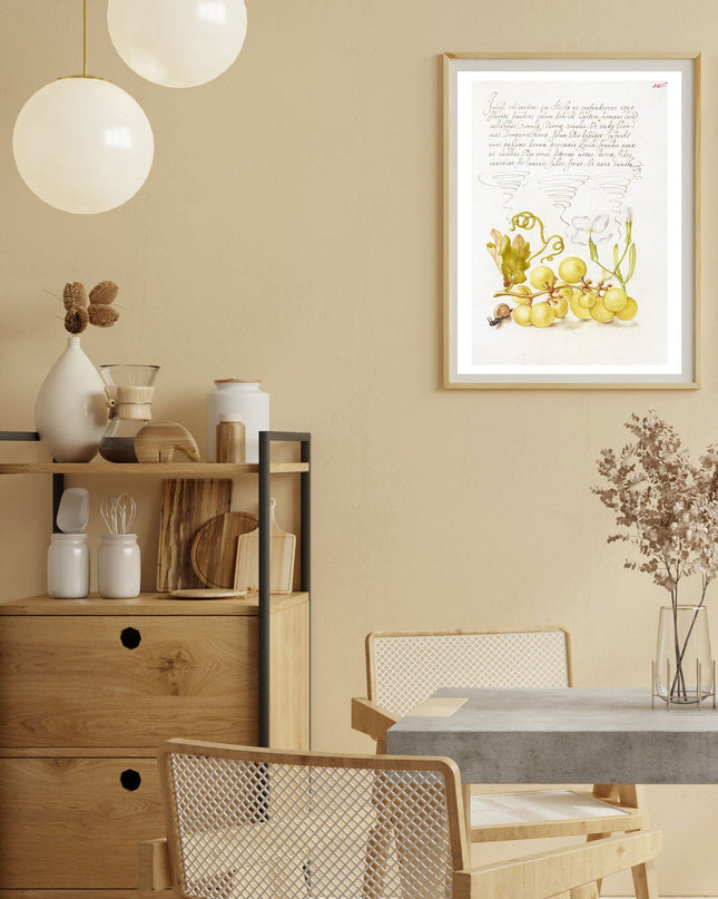 Joris Hoefnagel - Wine Grape, Gillyflower, and Land Snail Poster