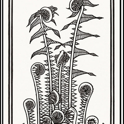 Julie de Graag - Ferns