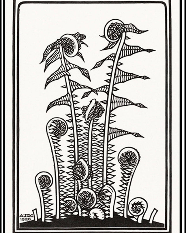 Julie de Graag - Ferns