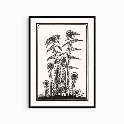 Julie de Graag - Ferns