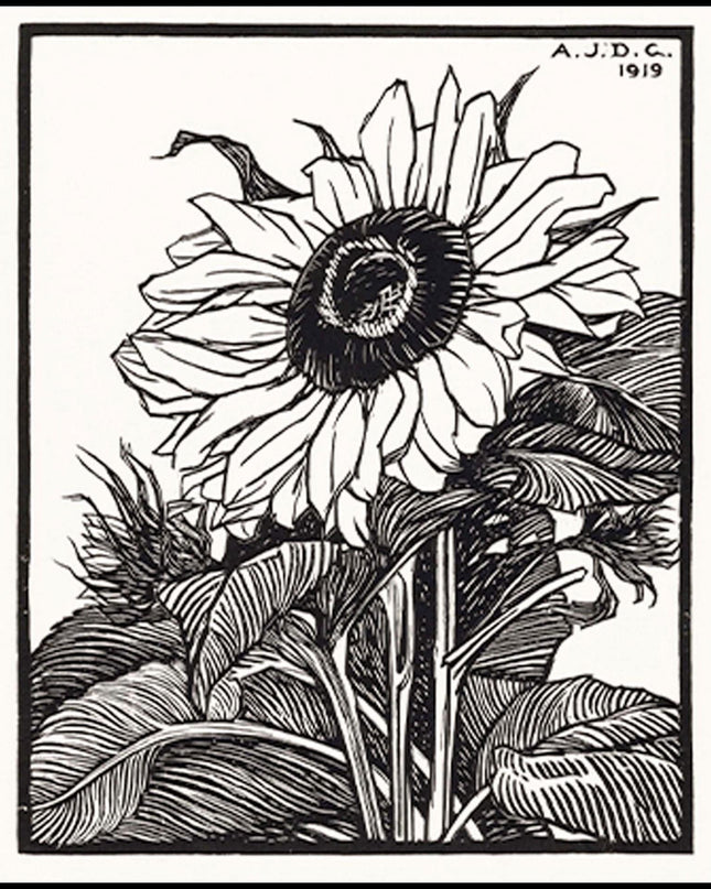 Julie de Graag - Sunflower