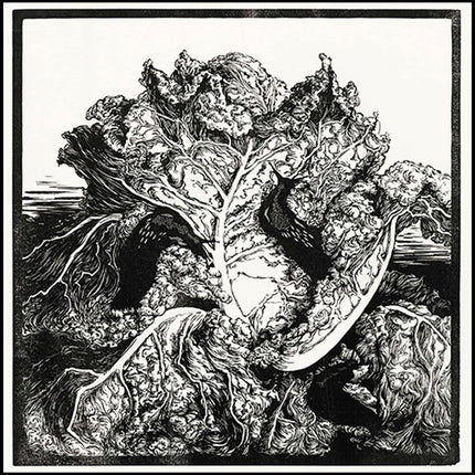 Julie de Graag - Three slugs On A Cabbage