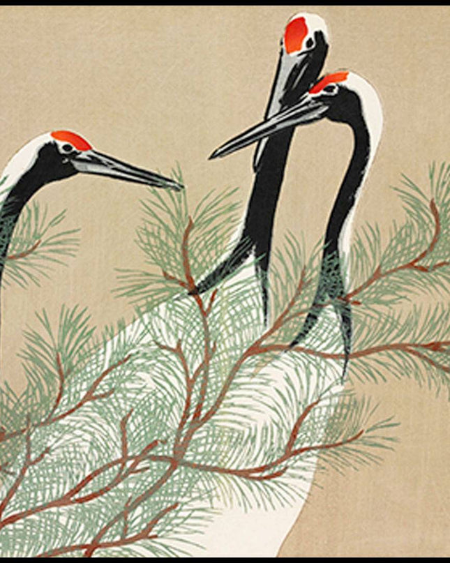 Kamisaka Sekka - Cranes from Momoyogusa