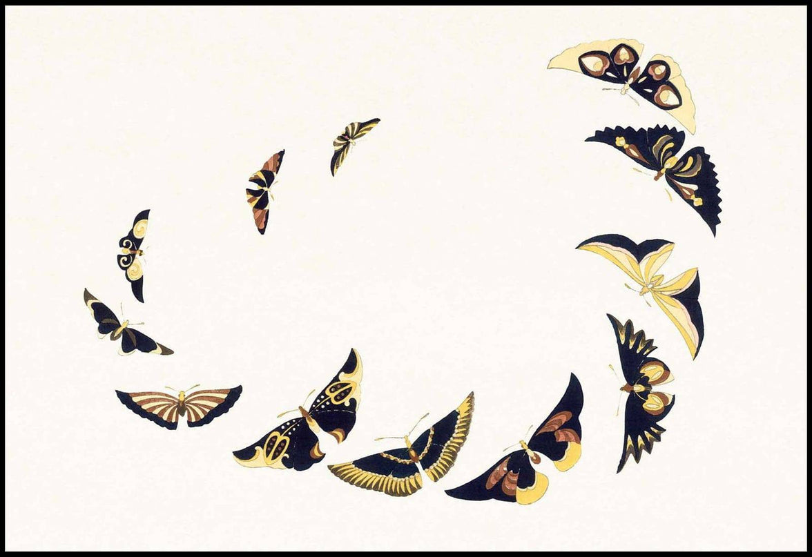 Kamisaka Sekka - Vintage Butterfly