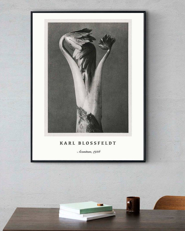 Karl Blossfeldt - Aconitum Poster