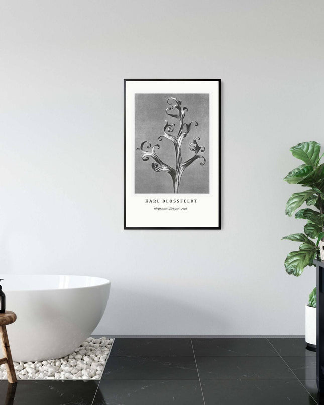Karl Blossfeldt - Delphinium 'Larkspur' Poster