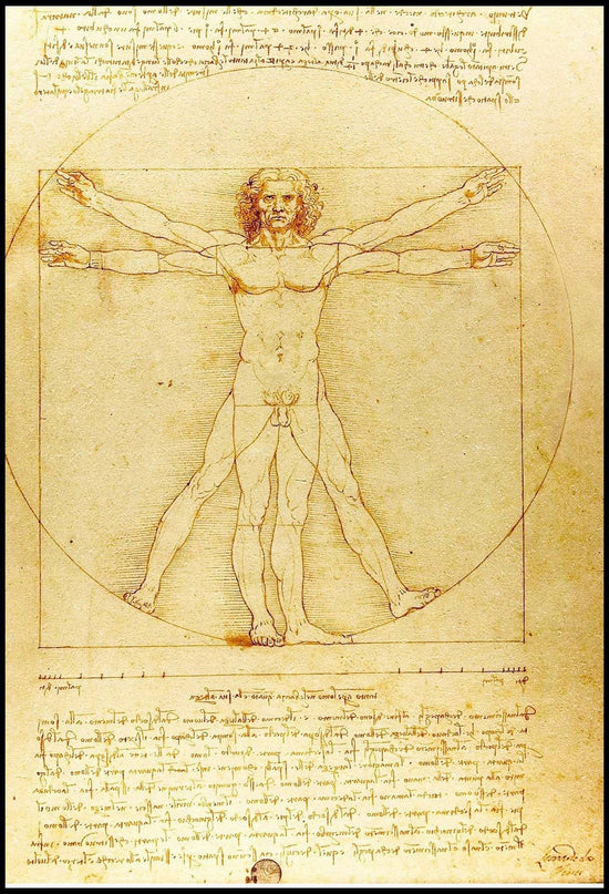 Leonardo da Vinci - Vitruvian Man