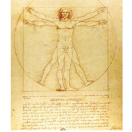 Leonardo da Vinci - Vitruvian Man Poster