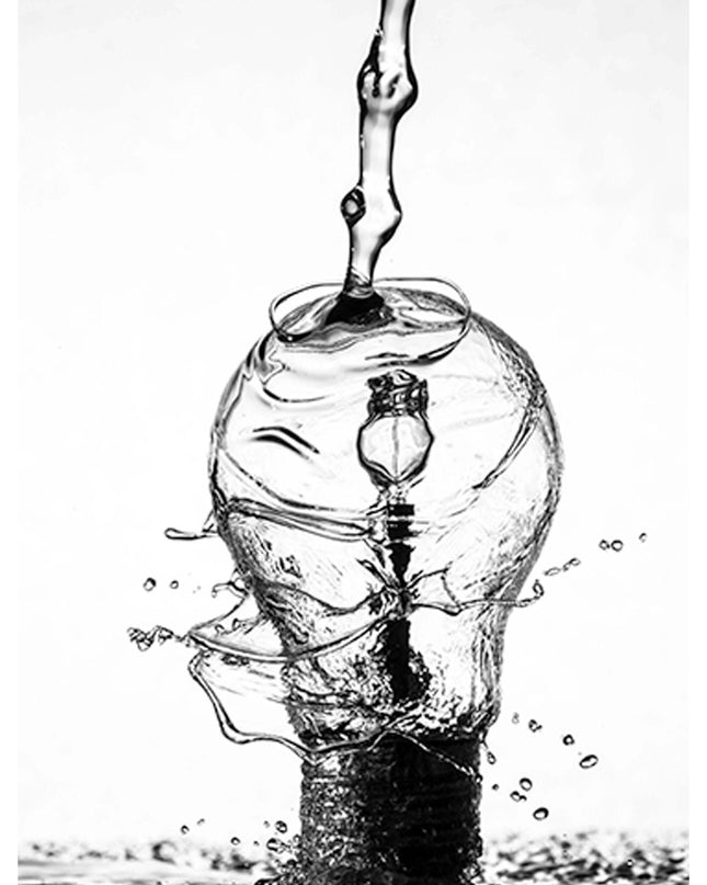 Light Bulb Watering Poster