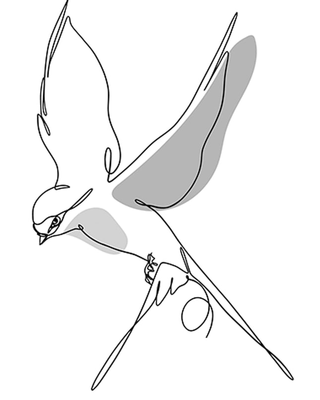 Line Art Bird Poster