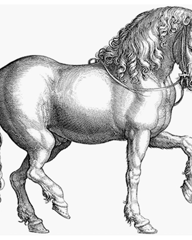 Line Art Horse Poster