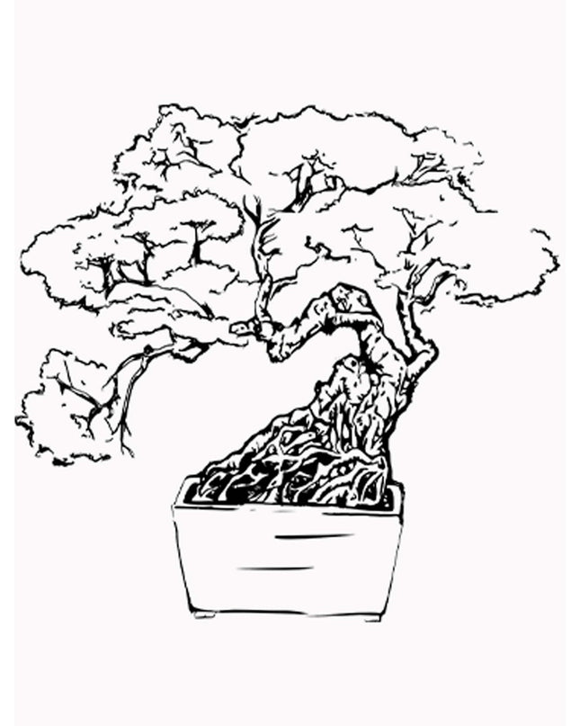 Line Art Trees Poster